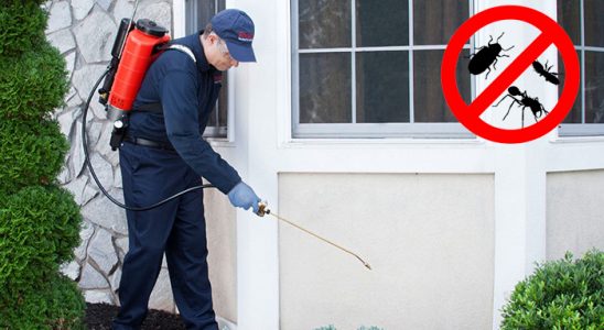 Çilimli Dezenfeksiyon böcek ilaçlama ve haşere kontrolü — ilaclama-tr.com